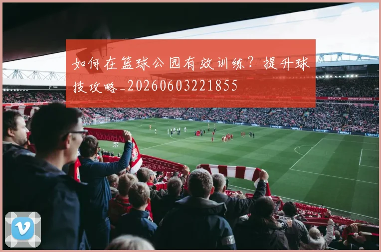 如何在篮球公园有效训练？提升球技攻略_20260603221855