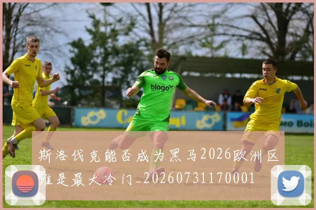 斯洛伐克能否成为黑马2026欧洲区谁是最大冷门_20260731170001